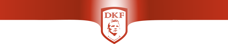 Logo Dirk Kuyt Foundation